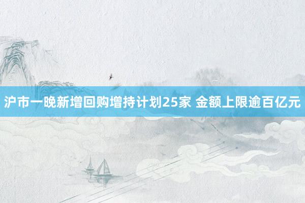 沪市一晚新增回购增持计划25家 金额上限逾百亿元