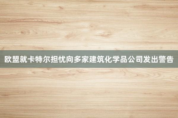 欧盟就卡特尔担忧向多家建筑化学品公司发出警告
