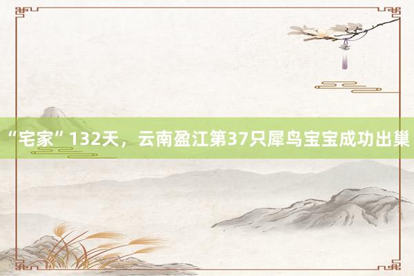 “宅家”132天,云南盈江第37只犀鸟宝宝成功出巢