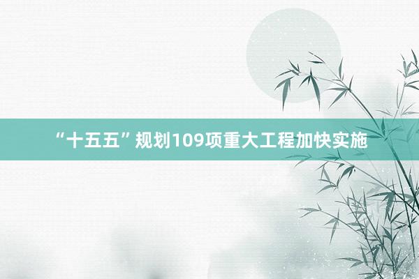 “十五五”规划109项重大工程加快实施