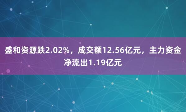 盛和资源跌2.02%，成交额12.56亿元，主力资金净流出1.19亿元