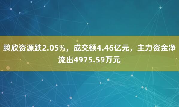 鹏欣资源跌2.05%，成交额4.46亿元，主力资金净流出4975.59万元