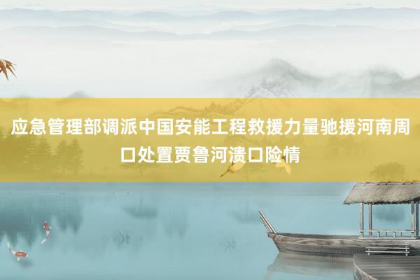 应急管理部调派中国安能工程救援力量驰援河南周口处置贾鲁河溃口险情