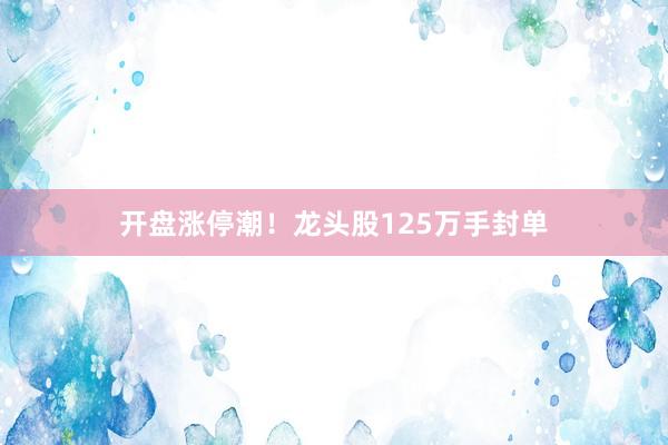 开盘涨停潮！龙头股125万手封单