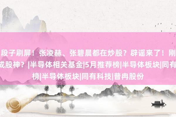 段子刷屏！张凌赫、张碧晨都在炒股？辟谣来了！刚刚，私募赌徒成股神？|半导体相关基金|5月推荐榜|半导体板块|同有科技|普冉股份