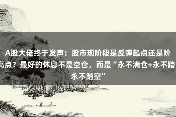 A股大佬终于发声：股市现阶段是反弹起点还是阶段高点？最好的休息不是空仓，而是“永不满仓+永不踏空”
