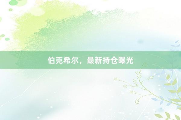 伯克希尔，最新持仓曝光