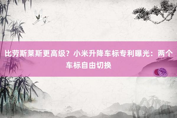 比劳斯莱斯更高级？小米升降车标专利曝光：两个车标自由切换