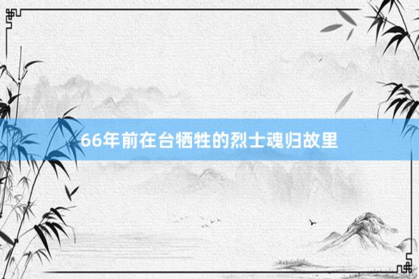 66年前在台牺牲的烈士魂归故里