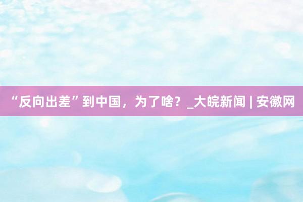 “反向出差”到中国，为了啥？_大皖新闻 | 安徽网