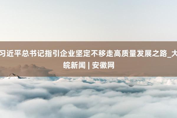 习近平总书记指引企业坚定不移走高质量发展之路_大皖新闻 | 安徽网