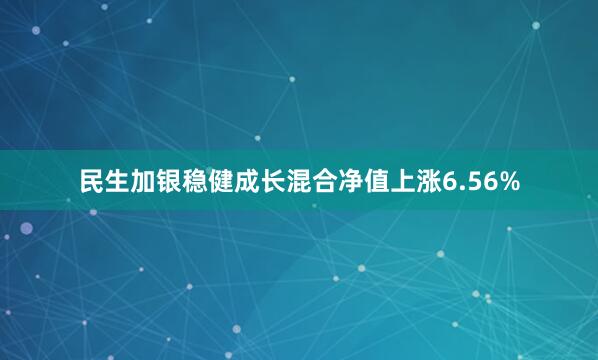 民生加银稳健成长混合净值上涨6.56%