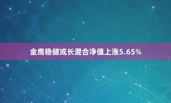 金鹰稳健成长混合净值上涨5.65%