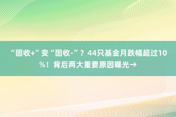 “固收+”变“固收-”?44只基金月跌幅超过10%!背后两大重要原因曝光→