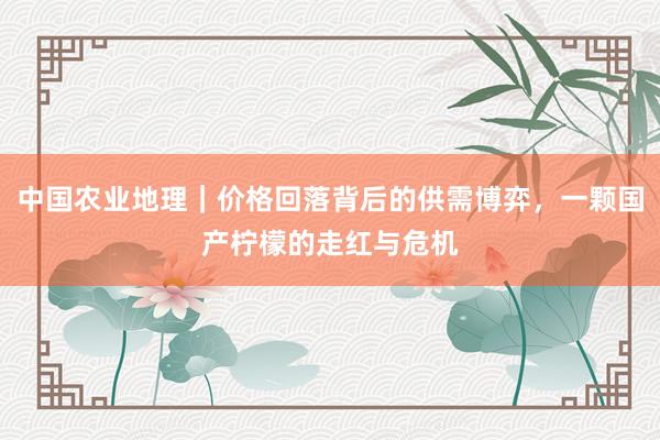 中国农业地理｜价格回落背后的供需博弈，一颗国产柠檬的走红与危机