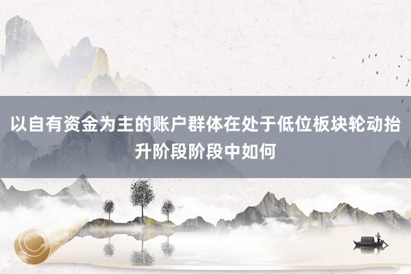 以自有资金为主的账户群体在处于低位板块轮动抬升阶段阶段中如何