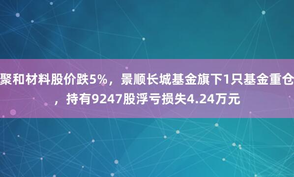 聚和材料股价跌5%，景顺长城基金旗下1只基金重仓，持有9247股浮亏损失4.24万元