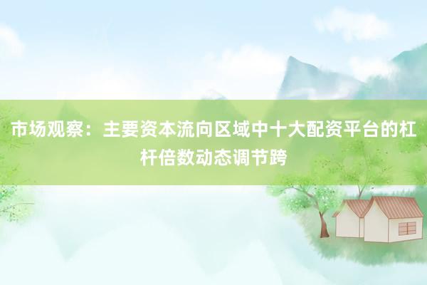 市场观察：主要资本流向区域中十大配资平台的杠杆倍数动态调节跨