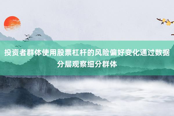 投资者群体使用股票杠杆的风险偏好变化通过数据分层观察细分群体