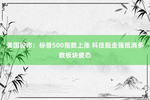 美国股市：标普500指数上涨 科技股走强抵消多数板块疲态