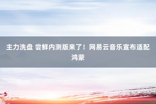 主力洗盘 尝鲜内测版来了！网易云音乐宣布适配鸿蒙