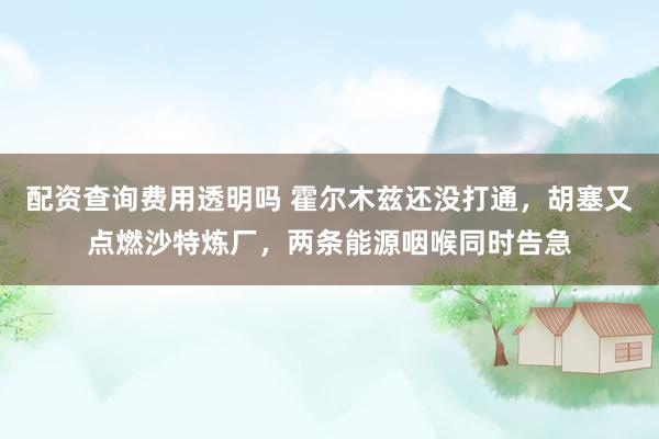 配资查询费用透明吗 霍尔木兹还没打通，胡塞又点燃沙特炼厂，两条能源咽喉同时告急
