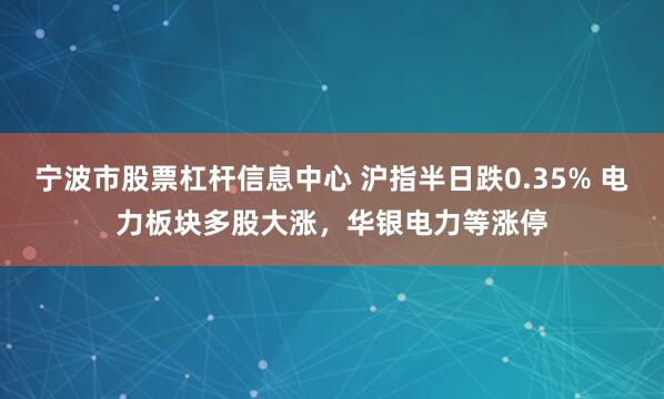 宁波市股票杠杆信息中心 沪指半日跌0.35% 电力板块多股大涨,华银电力等涨停
