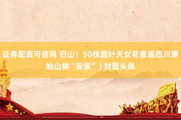 证券配资可信吗 归山！50株圆叶天女花重返四川原始山林“安家” | 封面头条