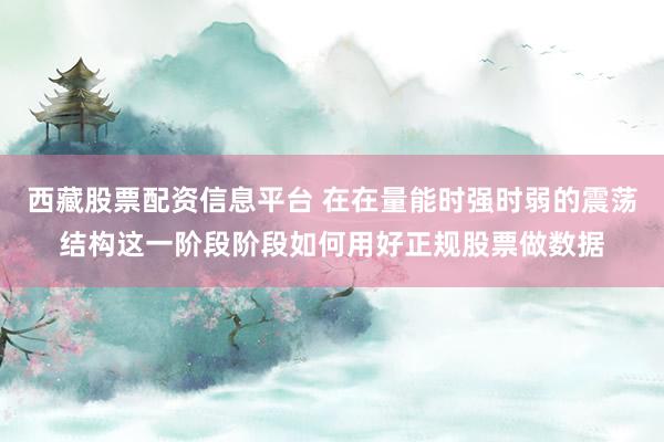 西藏股票配资信息平台 在在量能时强时弱的震荡结构这一阶段阶段如何用好正规股票做数据